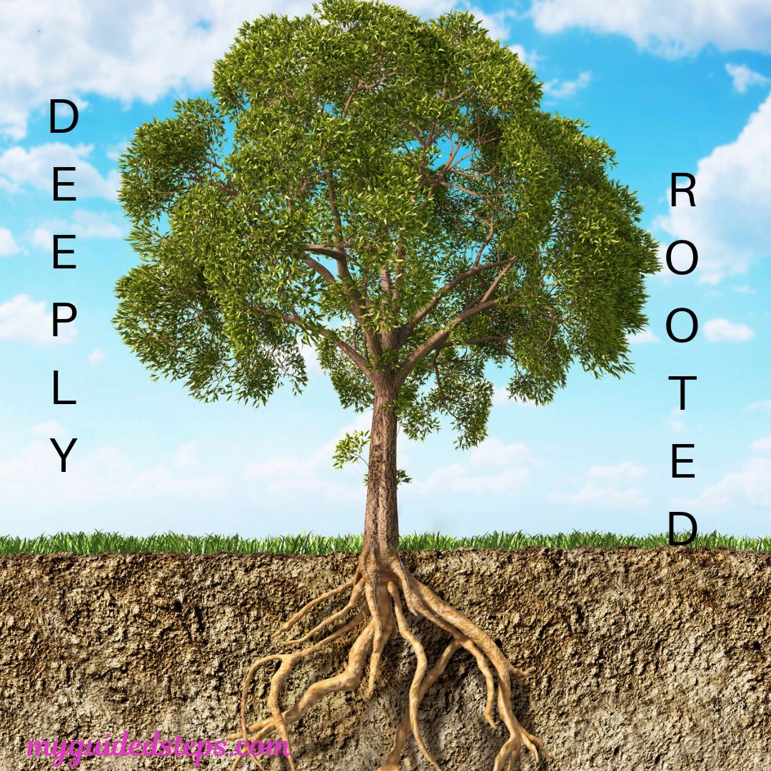 A plant with deep roots that is representative of faith